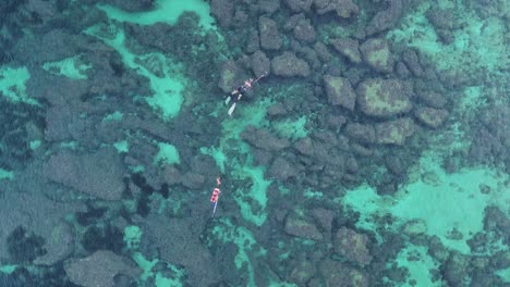 Spearfishing-at-Sea-above-Purple-Blue-Coral-in-Spain---Aerial-Top-Down