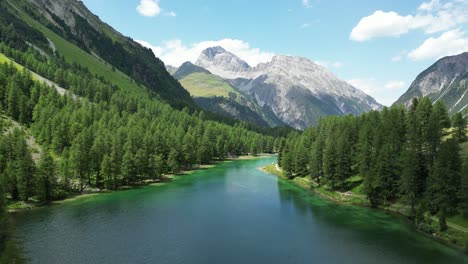 Rama-Del-Lago-Con-árboles-Y-Montañas