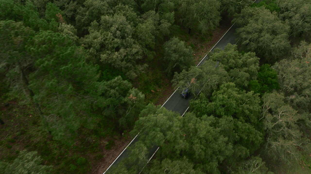 Cinematic aerial shot of blue 2024 Maserati Grecale slowly driving in mountains of Spain, Europe. Narrow road between green trees are visible. High quality 4K prores footage.