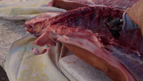 cutting pork carcass with saw during traditional slaughter - slow motion
