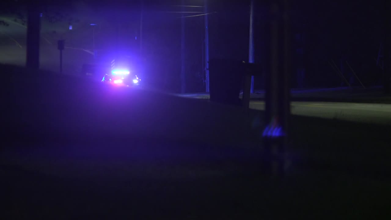 las luces de los coches de la policía parpadeando en una parada de tráfico