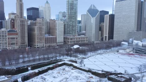 2019 polar vortex millennium park, chicago, illinois