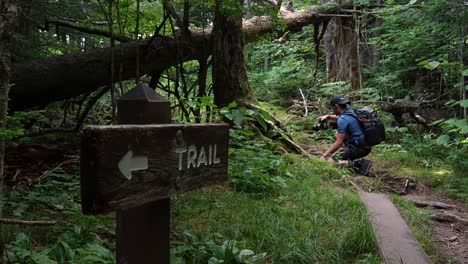 Outdoor-photographer-stops-along-a-hiking-trail-to-get-a-macro-shot-of-a-tree's-air-roots