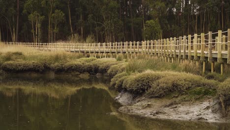 4-Km-Nahaufnahme-Auf-Einem-Hölzernen-Nahrungspfad-über-Einem-Ebbe-Teich-Und-Einigen-Bäumen-Im-Hintergrund-Von-Ria-De-Aveiro-An-Der-Mündung-Des-Flusses-Vouga