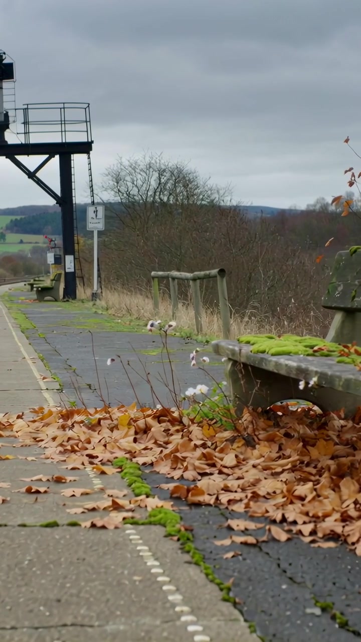 Vertical video: Slowly panning camera highlighting mossy bench and leaves on platform with gantry