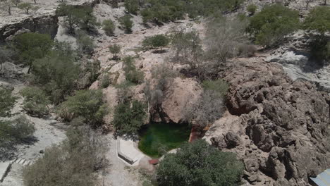 4K drone footage flying over a remote oasis in the Namibian desert, revealing vibrant greenery surrounded by arid landscapes and dramatic sand dunes.