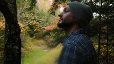 bearded man looks at beautiful autumn leaf color in wild nature forest, dreamy film look dolly in close up