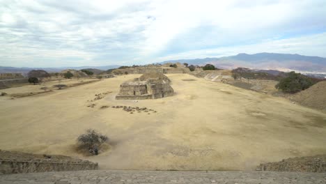 monte alban oaxaca mexico archeological site in oaxaca, mexico