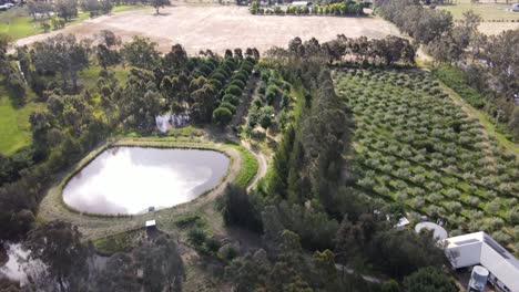 paneo aéreo de drones de permacultura orgánica a tierras agrícolas áridas