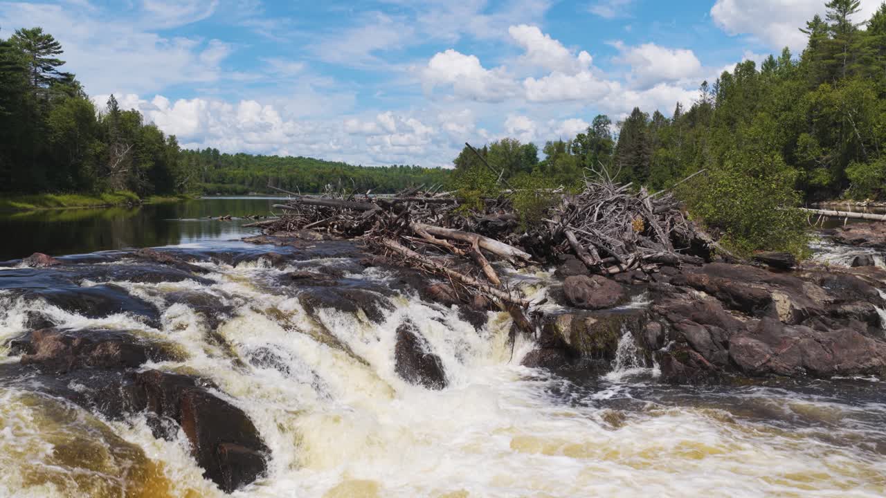 Flying low above the river, we pass a rapid on which a pile of driftwood has floated together