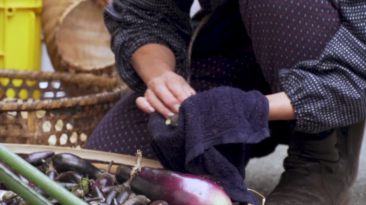 청소중인 일본 가지