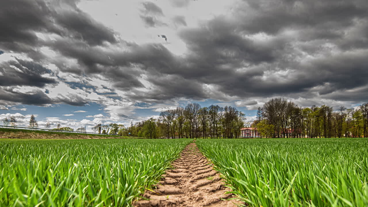 tiro de lapso de tiempo de jugoso campo de trigo verde joven fresco durante la primavera con nubes de lluvia oscuras pasando por