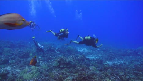 under water stock footage