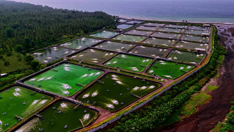 fish lobster farms in the coastal of indonesia. aerial view