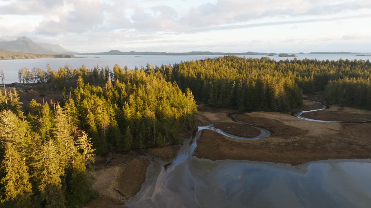 Alberi su un'isola sulla costa occidentale della Columbia Britannica, circondati dall'oceano e dalle montagne.