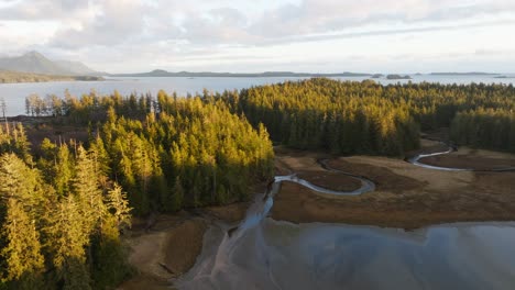 Bäume-Auf-Einer-Insel-An-Der-Westküste-Von-British-Columbia,-Umgeben-Von-Meer-Und-Bergen-In-BC