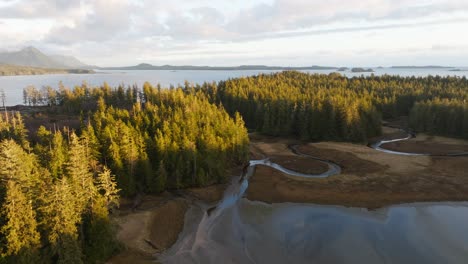 Trees-on-a-island-on-the-West-Coast-of-British-Columbia-surrounded-by-ocean-and-mountains-in-BC