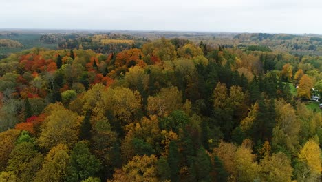 Colorful-seasonal-forests-and-bog-lake-in-autumn-time-aerial-footage