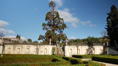 sideways shot of a baroque garden, with a big redwood at the bottom of the shot