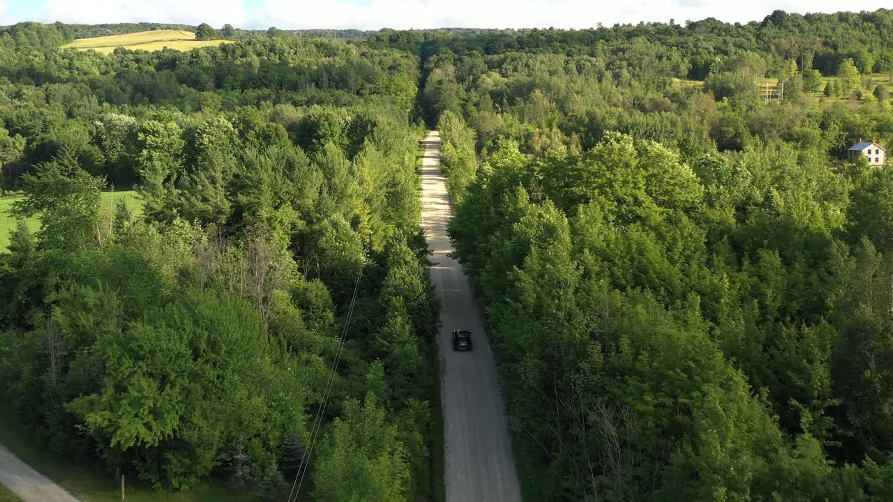 Top Down View of Cars Driving Along the Road Among the Forest