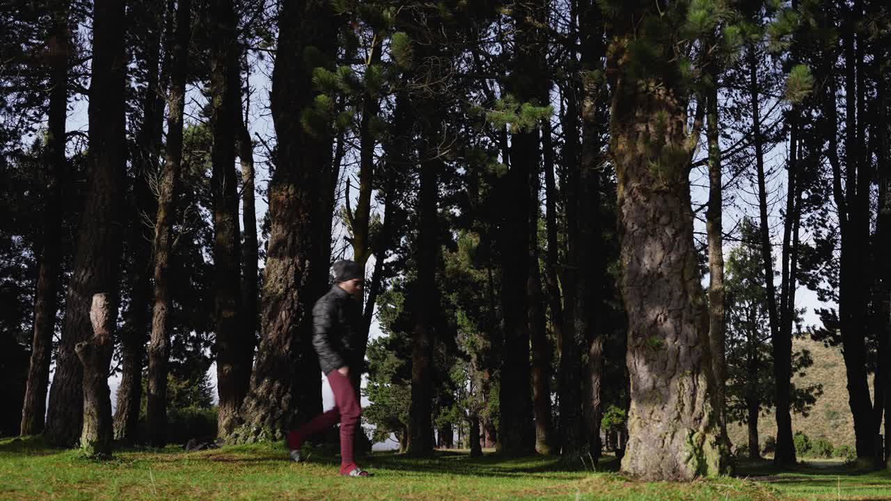 넓은 소나무 숲을 걷는 세련된 캠핑카