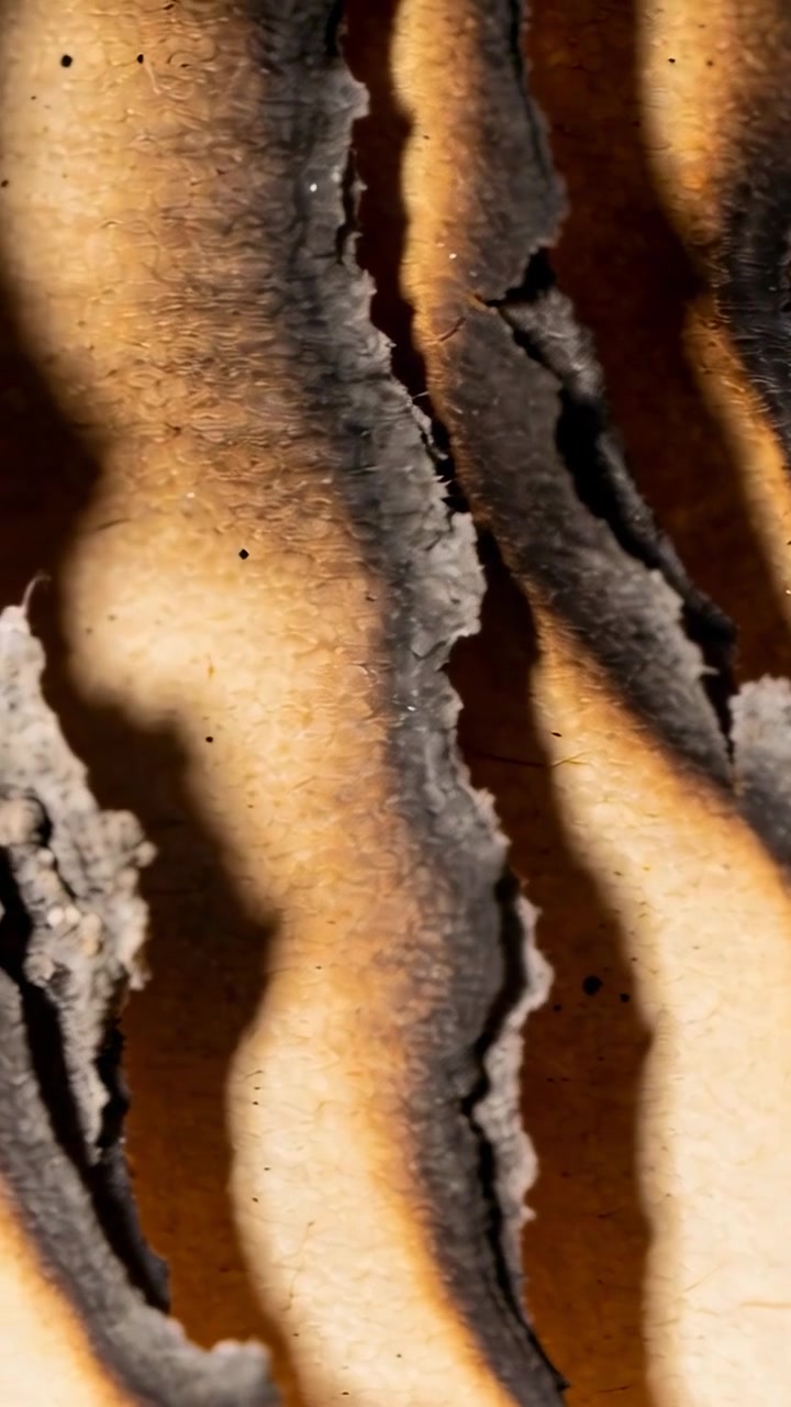 Vertical video: Panning camera showing charred paper layers on wood base, exposing ash for texture