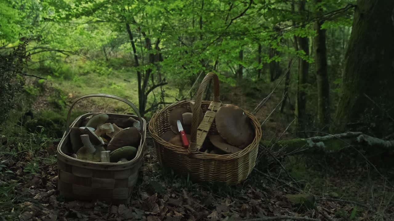 Funghi porcini in due cesti di vimini di legno posizionati
