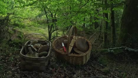 Boletus-De-Setas-En-Dos-Cestas-De-Mimbre-De-Madera-Colocadas