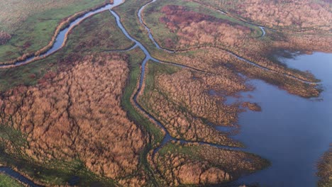 scenic aerial view of river delta, marshes, swamp land, flooded farmlands