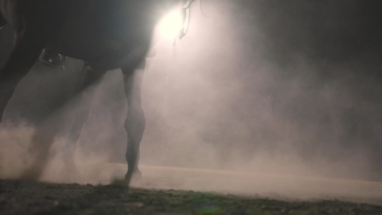 Una toma dinámica de un caballo galopando en una pista polvorienta, capturando la potencia y la elegancia de su movimiento.