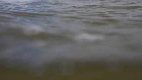 close-up of calm water surface
