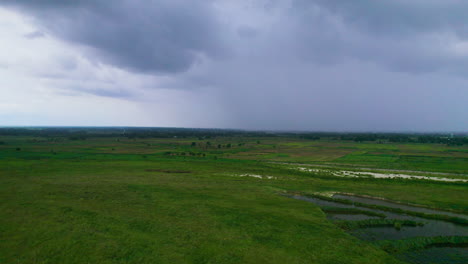 Vista-Aérea-De-Un-Enorme-Terreno-Verde-Bajo-El-Cielo-Azul