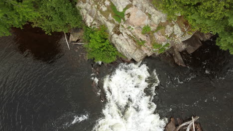 arroyo de ojo de pájaro con pequeña cascada y orilla de río verde con pinos