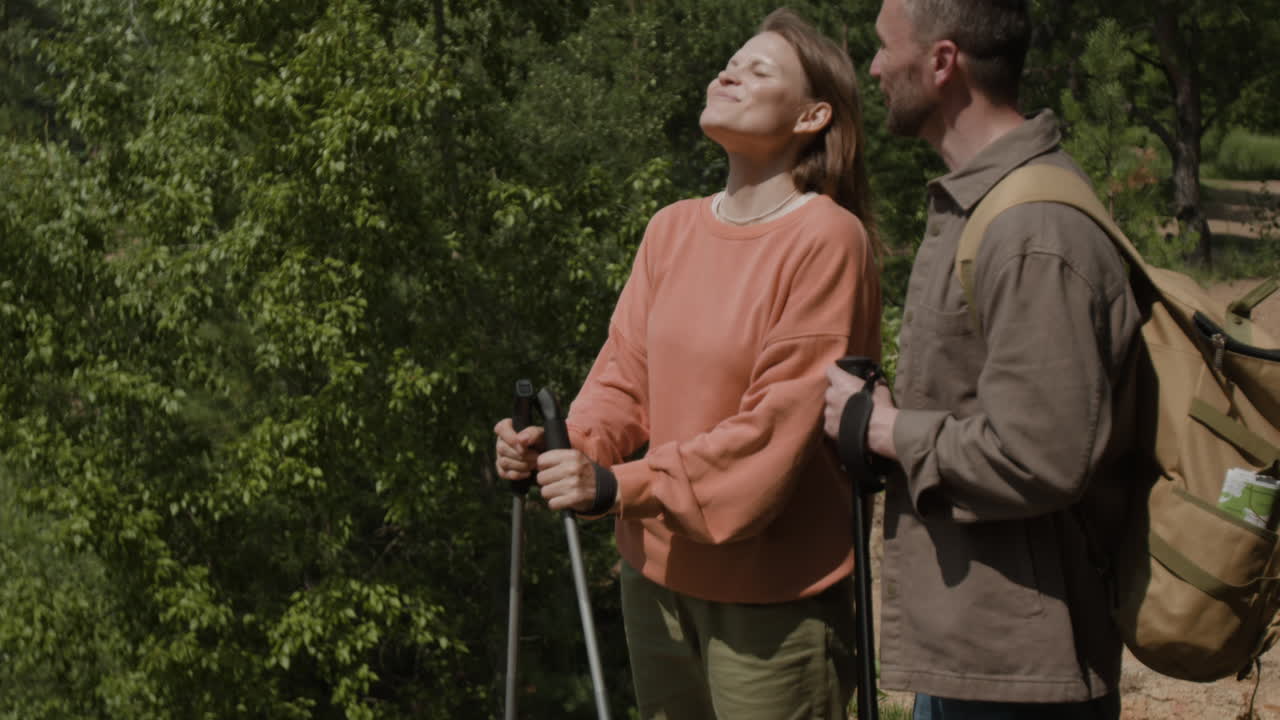 People hiking in forest