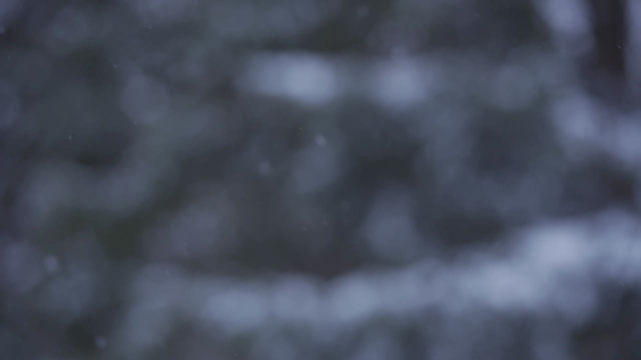 Blurry background with snow falling during the night
