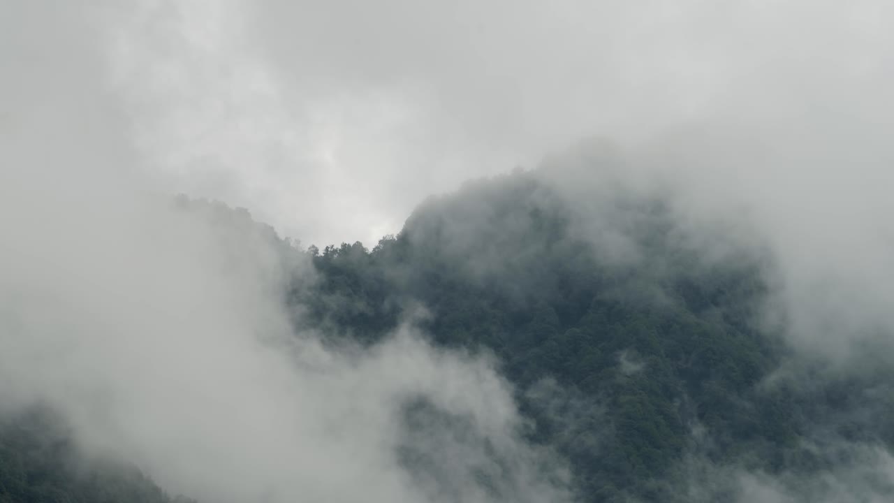Nature Background of Misty Rainforest with Copy Space, Clouds and Mist Moving Over Tree Tops in the Jungle, Tropical Scenery Background with Copyspace in Moody Atmospheric Scene