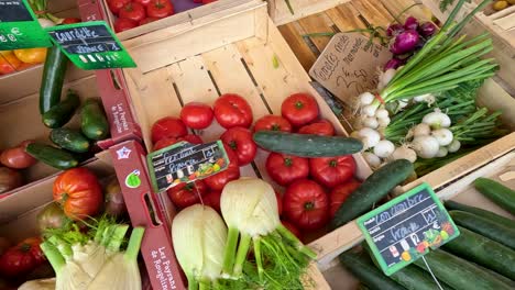 productos frescos expuestos en un mercado vibrante