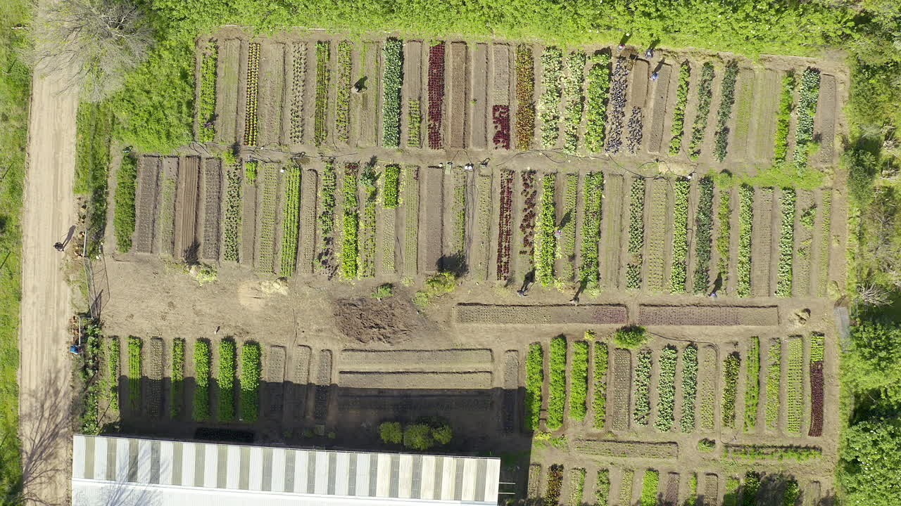 많은 손이 가 ⁇ 운 일을 합니다.