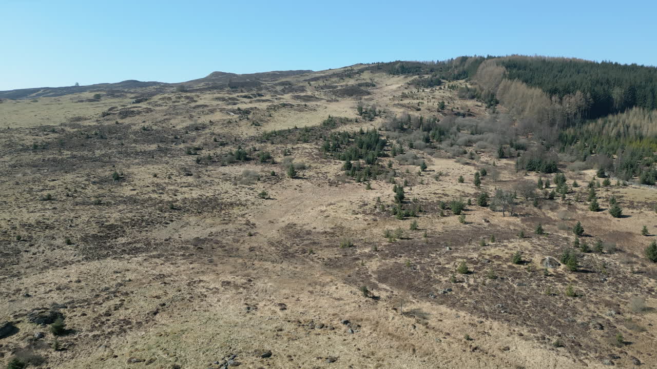 Rekaman udara sinematik yang naik, menyingkap dataran tinggi pegunungan yang luas tertutup rumput kering kekuningan dan pohon pinus yang tersebar di bawah langit biru cerah. Ideal untuk dokumenter alam dan konten perjalanan.
