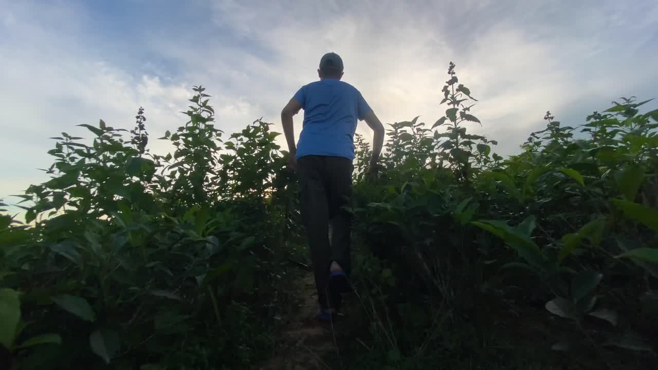 일몰을 탐험하기 위해 언덕이 많은 정글 부시 트랙을 트레킹하는 등산객