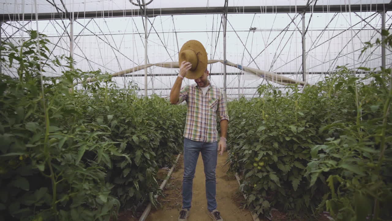 Farmer in a Greenhouse