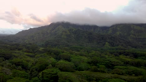 cinematic nature aerial view of green mountains under tropical rain clouds at beautiful sunrise on kauai hawaii island dramatic nature aerial view of rainforest tropical jungle of kauai