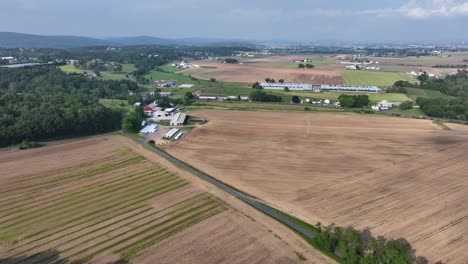 american intersection road leading to farmers house between fields in rural area of american town. aerial top down shot. sunny day in summer. cultivated agricultural farm fields