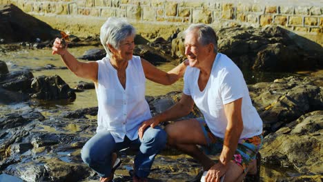 senior couple holding a bird near sea 4k