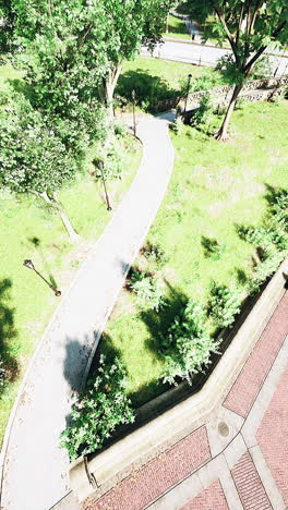 un camino de parque con árboles y hierba