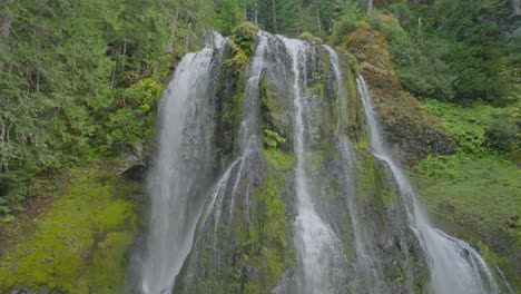 majestic waterfall in a lush forest