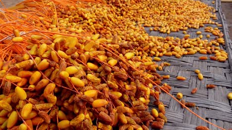 Medium-tilting-up-shot,-Scenic-view-of-Dry-Dates-on-the-table-in-Isla-Holbox,-Mexico