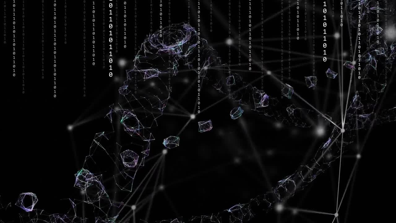 연결 애니메이션, 바이너리 코딩 및 데이터 처리