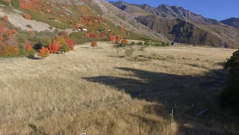 A-drone-captures-aerial-footage-of-an-alpine-meadow-in-the-fall-as-tree-leaves-change-color-into-brilliant-reds-and-yellows