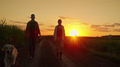 couple walking in a cornfield at sunset